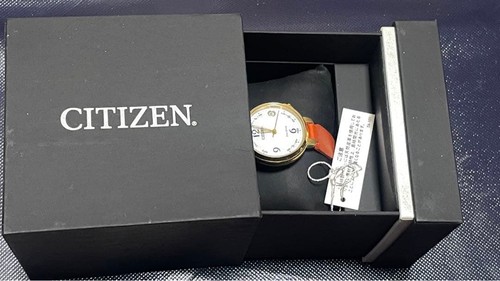 Montre pour homme citizen - montre,