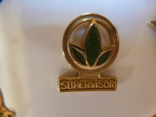 Pin herbalife supervisor - pin, pin's