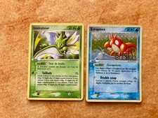 Lot cartes pokemon 57/107