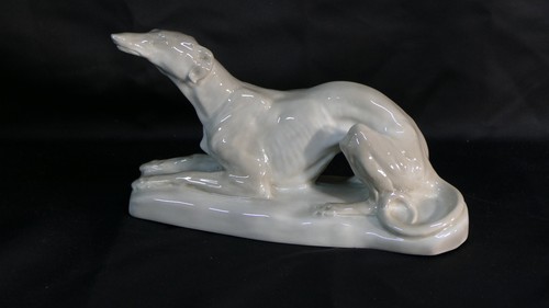 Lévrier whippet chien - whippet,