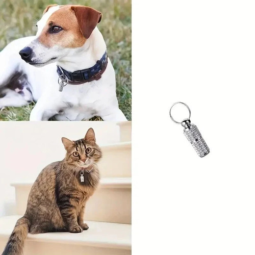 Collier identité chat chien - identité,