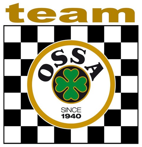 Team ossa sticker - team,