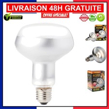 Lampes Incandescentes Exo