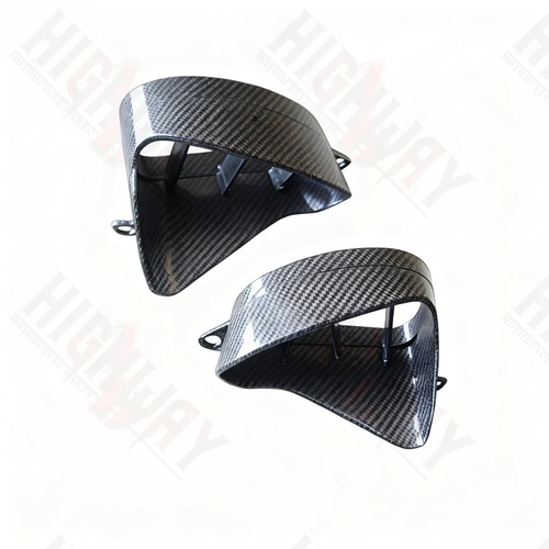 Abs carbon fiber - carbon, motorcycle