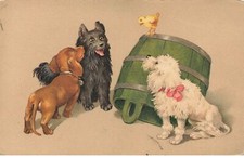 DOGS PUPPIES #20992 BY ILLUSTRATOR DACHSHUND DACHSHUND POODLE PLAYING