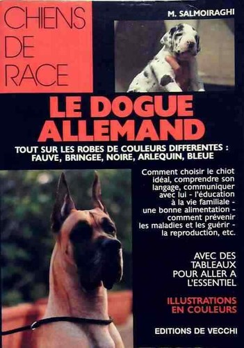 Dogue allemand m - -,