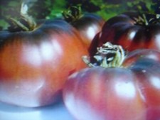 40 graines de tomates noires
