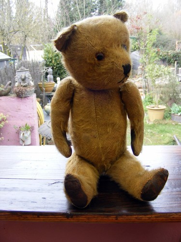 Bel ours anglais ancien - bel,