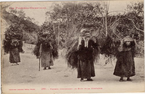 Old postcard - , 66