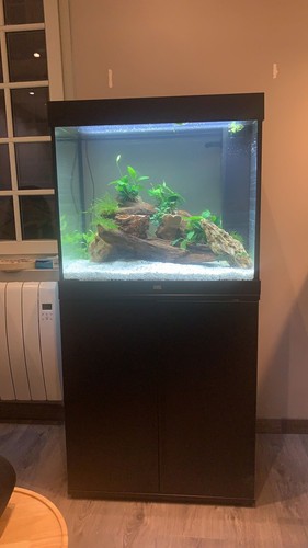 Aquarium avec meuble - avec, 200l
