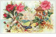 OISEAUX.n°21033.HIRONDELLES