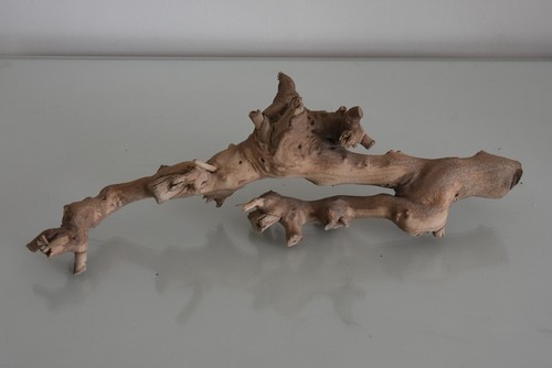 Vivarium exo terra forêt - exo,