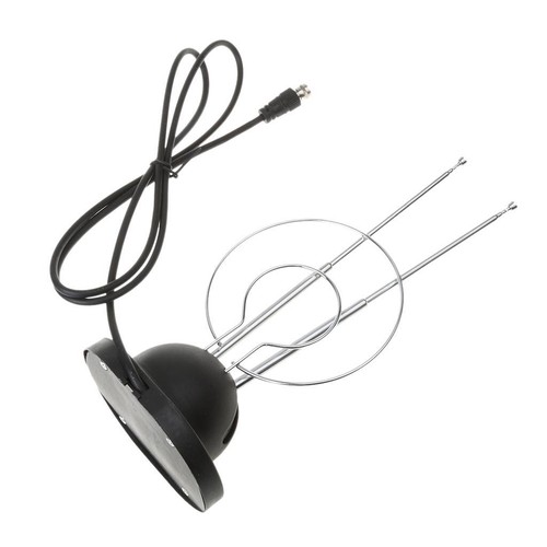 Oreille lapin intérieure - oreille, de