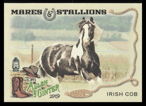 2019 topps allen - 2019,