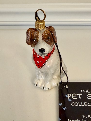 Border collie dog glass - border,