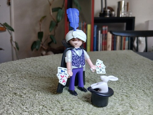 Cirque spectacle playmobil - cirque,