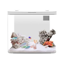 Kit de démarrage pour aquarium Betta Fish Tank taille de bureau compacte pour c