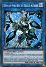 Yu-Gi-Oh : Dragon Pare-Feu de