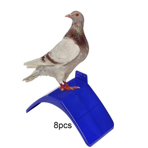 Accessoires pour pigeons - d'accessoires,