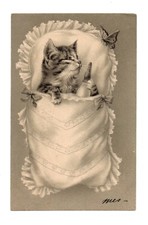Cpa relief chat papillon - cpa,