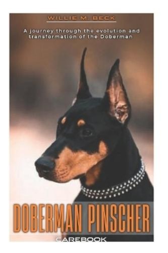 Willie beck doberman - willie, m