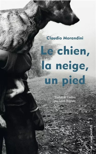 Chien neige un pied - la,