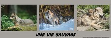 Affiche animaux sauvage (173 x