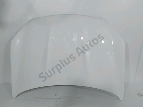 Capot f5100jd0mb nissan - f5100jd0mb,