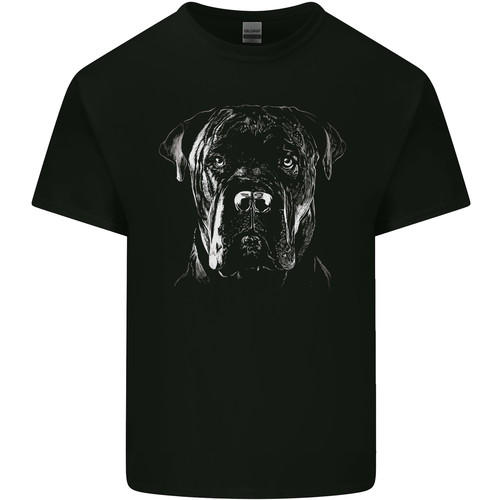 Shirt coton pour homme - en,