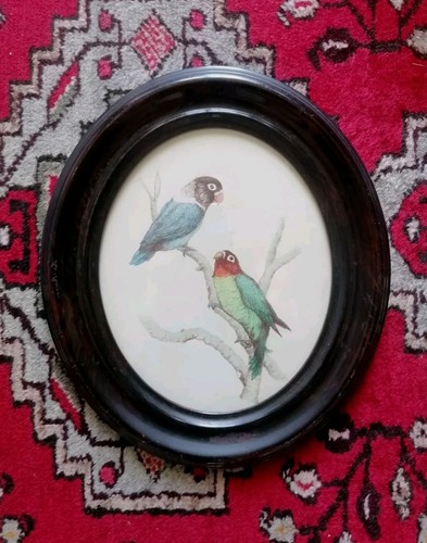 Aquarelle napoléon iii - aquarelle,