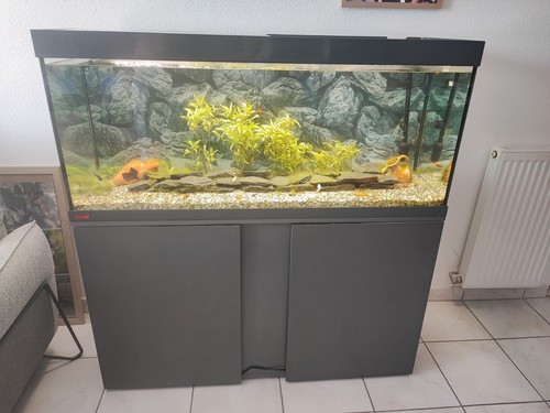Aquarium avec meuble - avec,