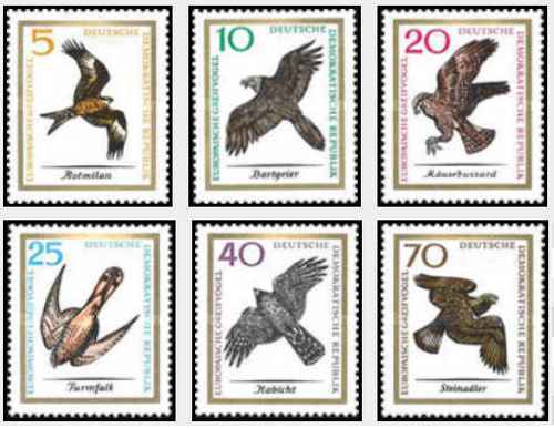 Timbres oiseaux rapaces - oiseaux, rda
