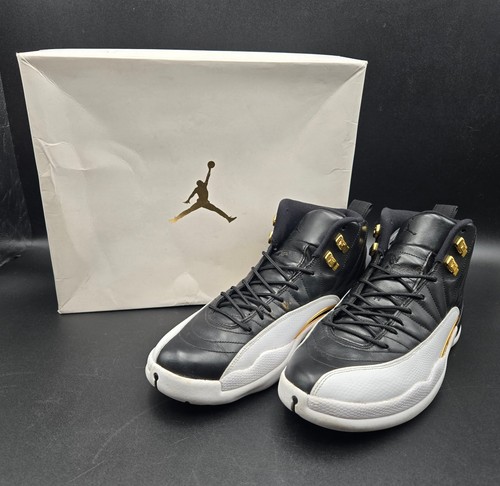 Air jordan shoe mens 12 - mens, 10.5