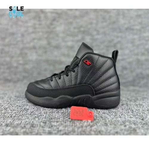 Nike air jordan xii - air, 12
