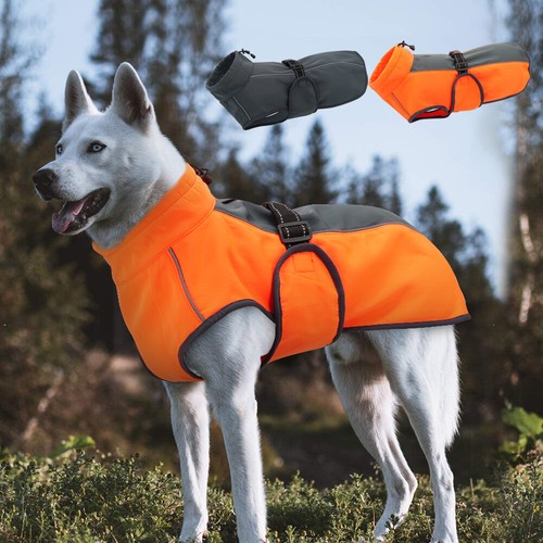 Manteau pour chien - pour,