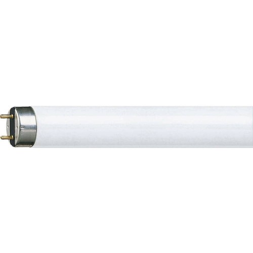 Philips master lampe - tl-d,
