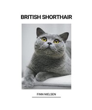 British Shorthair, Nielsen