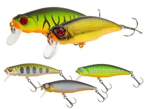 Pontoon preference shad - pontoon,