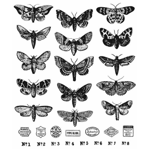 Tim holtz stampers anonymous - tim,