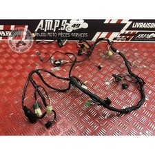 Faisceau électrique