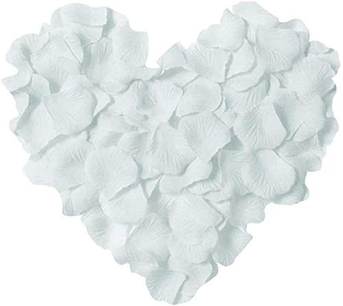 Pétales rose 1000pcs - pétales, rose,