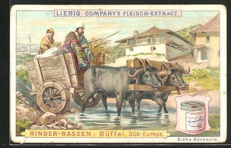 Image collection liebig - collection,