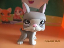 Petshop Chien Boston terrier #958