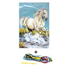 Kit canevas 30 x 40 cm Seg de