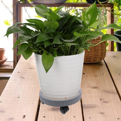 Plateau pot fleur porte - plateau,