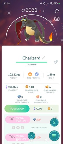 Charizard friede goggles - friede's,
