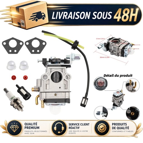 Carburateur 52cc 49cc 43cc