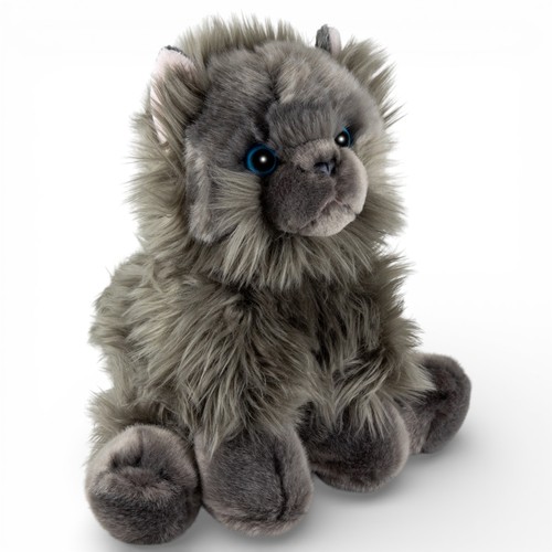 Chat persan carl - chat,