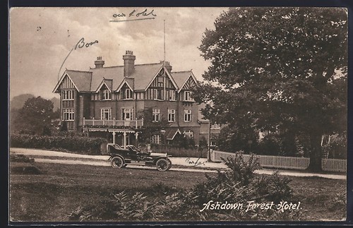 Ashdown forest - forest,,