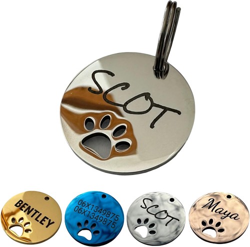 Médaille chien acier - médaille,